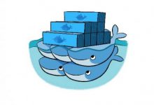 在docker-compose环境下以ws+tls方式一键搭建v2ray(So easy)-i软糖