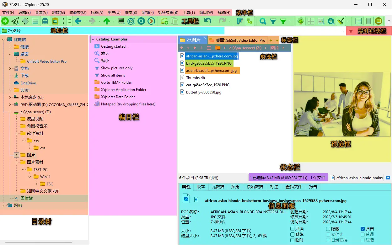 文件资源管理器中文绿色版 XYplorer中文绿色版