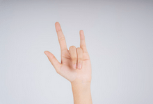 Sign Translate：实时手语翻译工具，开源免费-i软糖