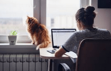 轻松游牧：国内外远程工作聚合平台网站-i软糖