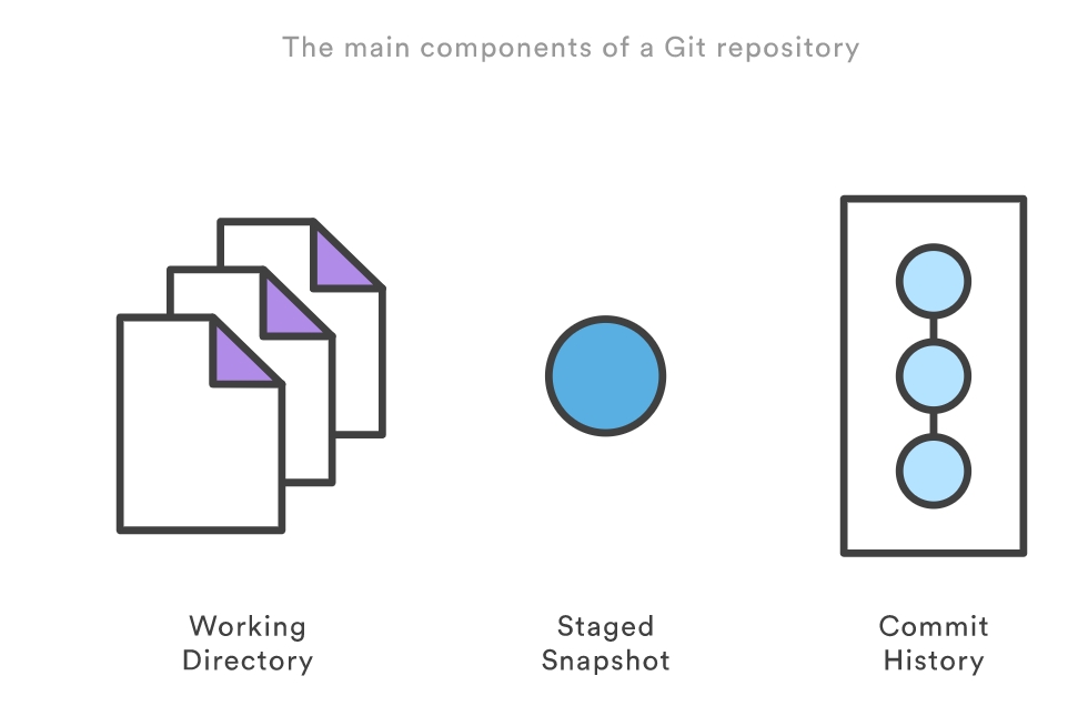 Git repo的主要组成